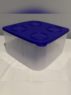 Tupperware Blue Lid Clear Storage Container
